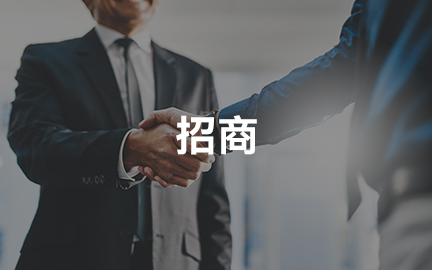 Investment promotion